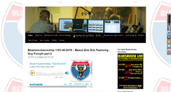 Desktop Screenshot of bluesmoose.nl